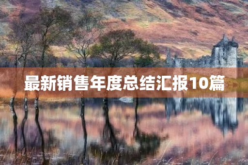 最新销售年度总结汇报10篇