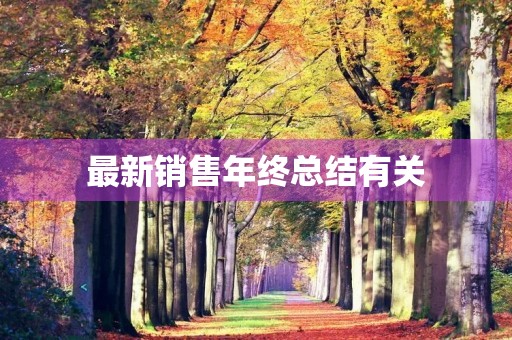 最新销售年终总结有关