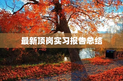 最新顶岗实习报告总结