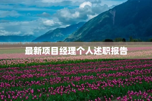 最新项目经理个人述职报告