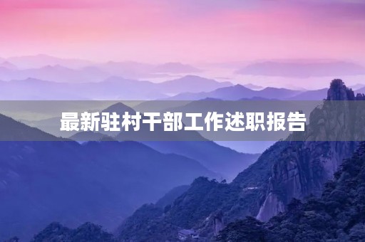 最新驻村干部工作述职报告