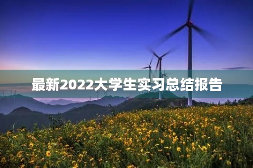 最新2022大学生实习总结报告 最新2022大学生实习总结报告