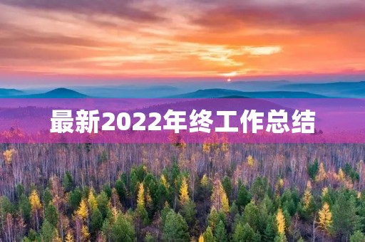最新2022年终工作总结(7篇)