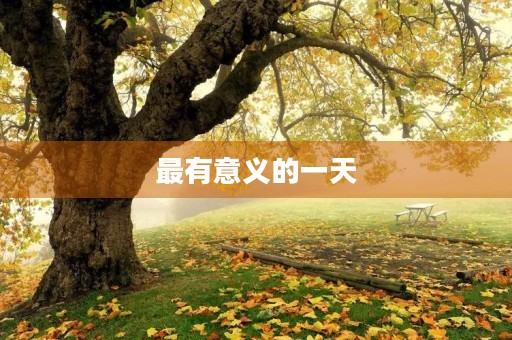 最有意义的一天 最有意义的一天