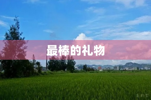 最棒的礼物 最棒的礼物