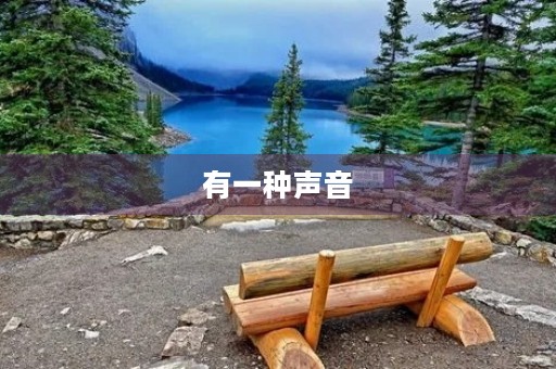 有一种声音 有一种声音