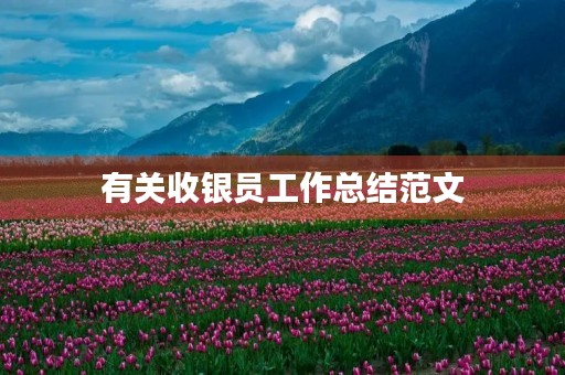 有关收银员工作总结范文