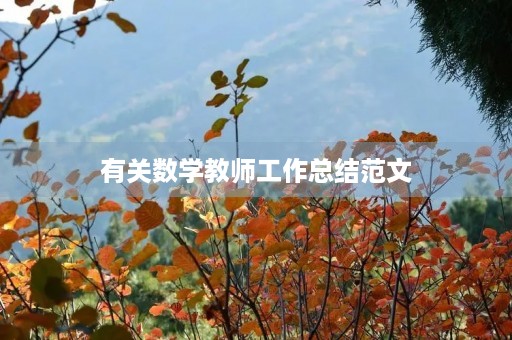 有关数学教师工作总结范文
