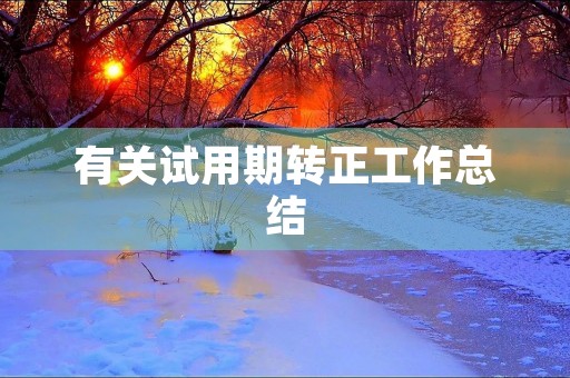有关试用期转正工作总结