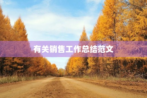 有关销售工作总结范文