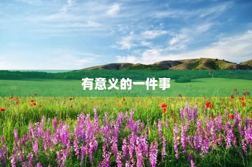 有意义的一件事