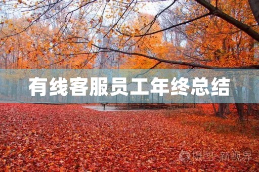 有线客服员工年终总结