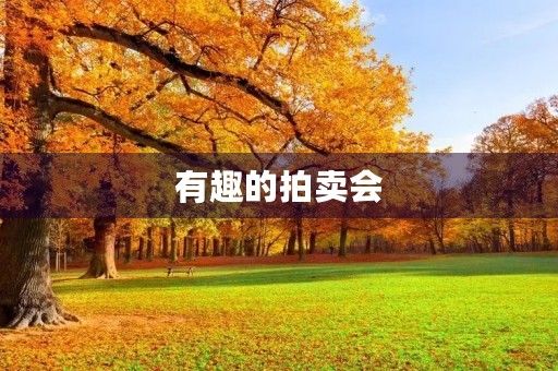 有趣的拍卖会 有趣的拍卖会