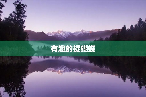 有趣的捉蝴蝶 有趣的捉蝴蝶