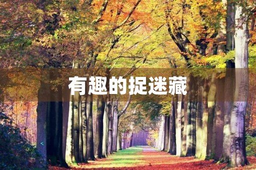 有趣的捉迷藏 有趣的捉迷藏