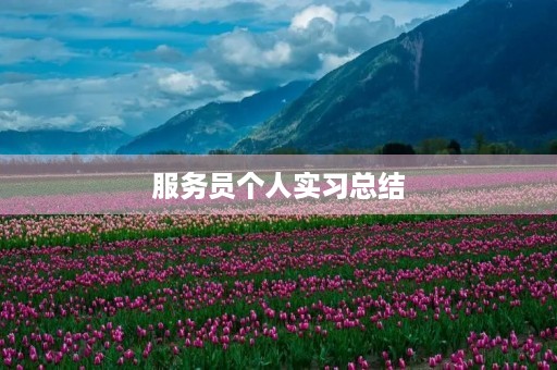 服务员个人实习总结 服务员个人实习总结