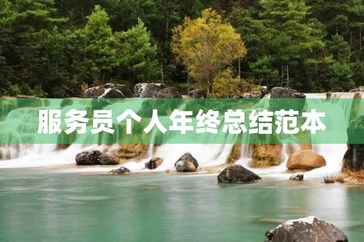 服务员个人年终总结范本