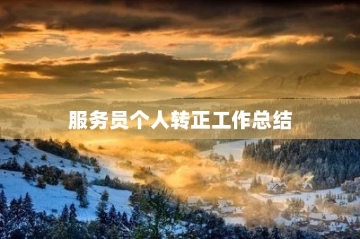 服务员个人转正工作总结