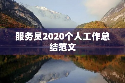 服务员2020个人工作总结范文