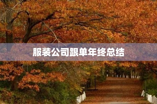 服装公司跟单年终总结