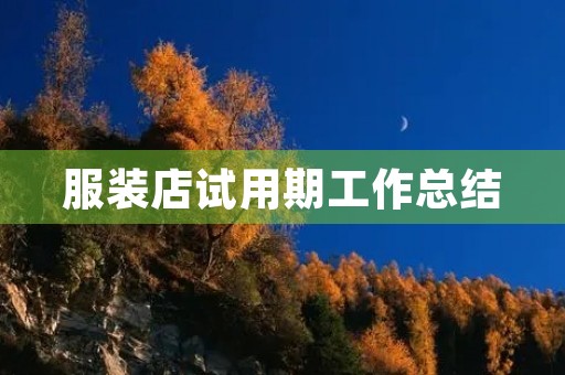 服装店试用期工作总结
