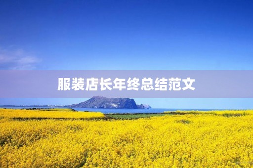 服装店长年终总结范文