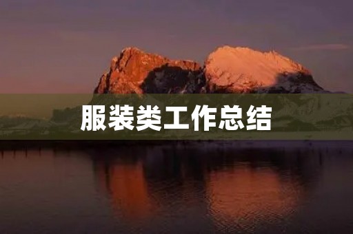 服装类工作总结