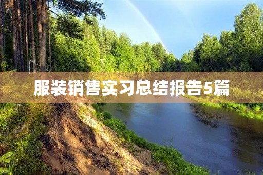 服装销售实习总结报告5篇