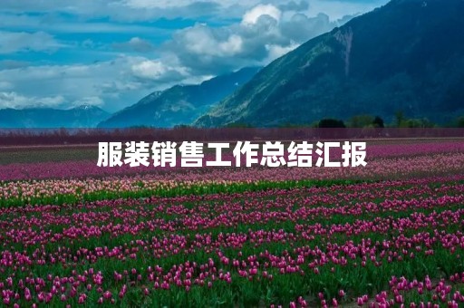 服装销售工作总结汇报
