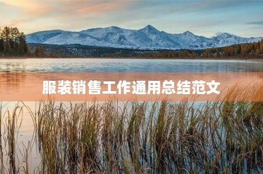 服装销售工作通用总结范文