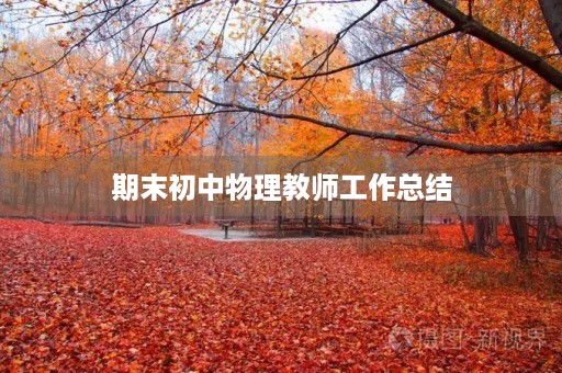 期末初中物理教师工作总结 期末初中物理教师工作总结
