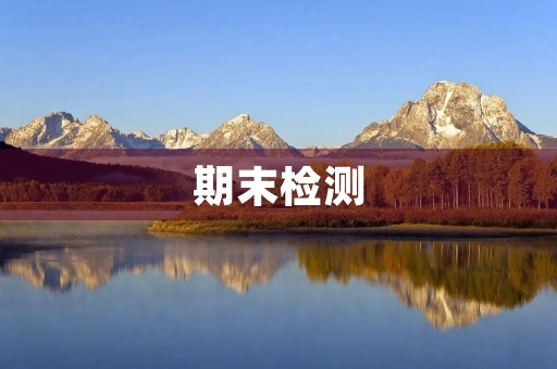 期末检测 期末检测