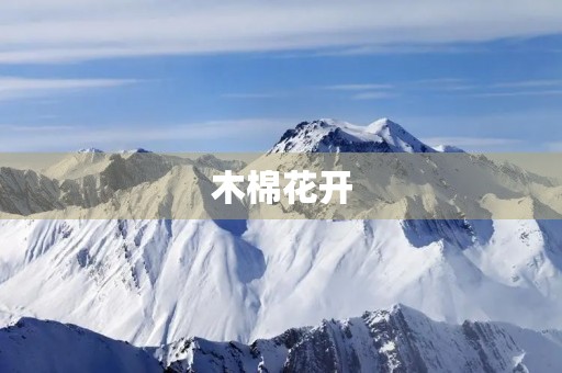 木棉花开