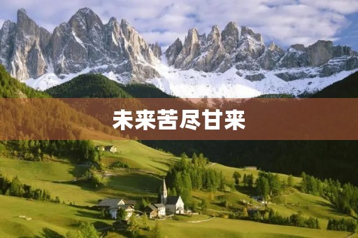 未来苦尽甘来