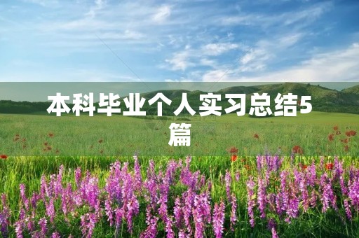 本科毕业个人实习总结5篇 本科毕业个人实习总结5篇