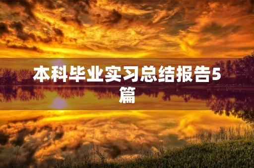 本科毕业实习总结报告5篇 本科毕业实习总结报告5篇