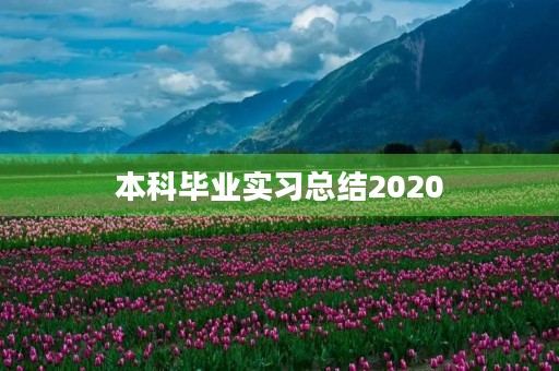 本科毕业实习总结2020