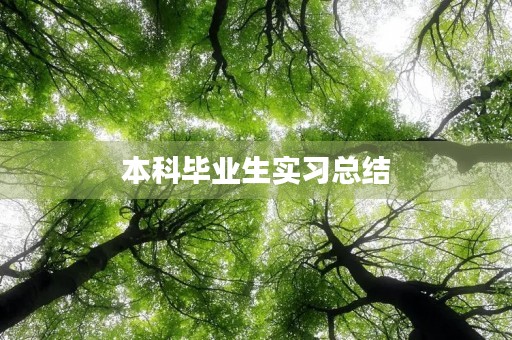 本科毕业生实习总结【2022】 本科毕业生实习总结【2022】