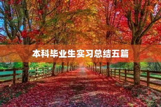 本科毕业生实习总结五篇 本科毕业生实习总结五篇