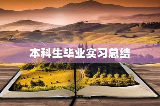 本科生毕业实习总结
