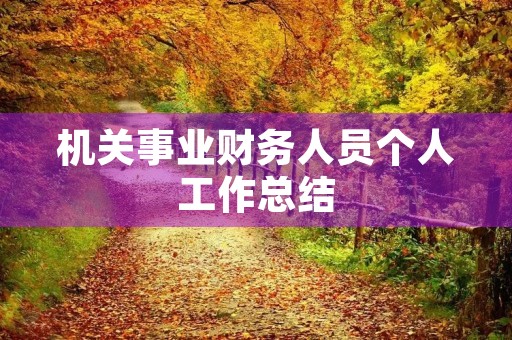 机关事业财务人员个人工作总结