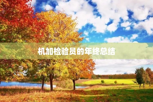 机加检验员的年终总结