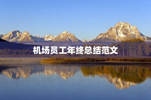 机场员工年终总结范文 机场员工年终总结范文