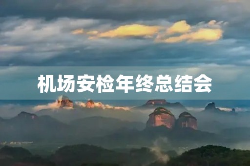 机场安检年终总结会
