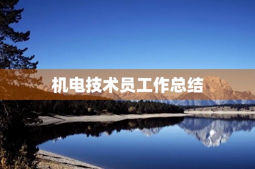 机电技术员工作总结