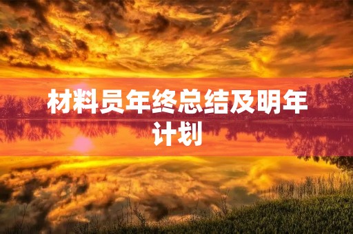 材料员年终总结及明年计划