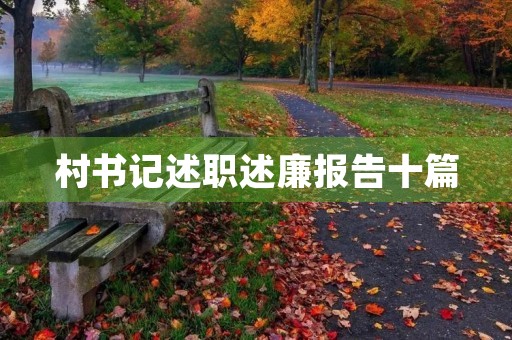 村书记述职述廉报告十篇