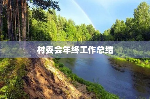 村委会年终工作总结