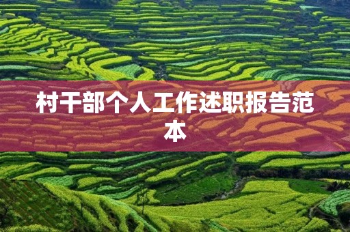 村干部个人工作述职报告范本 村干部个人工作述职报告范本