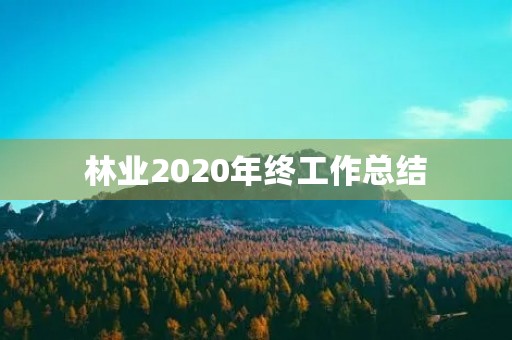 林业2020年终工作总结